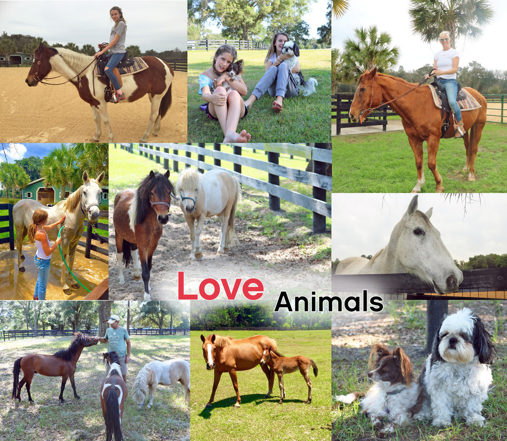 Beautifulife - Love Animals