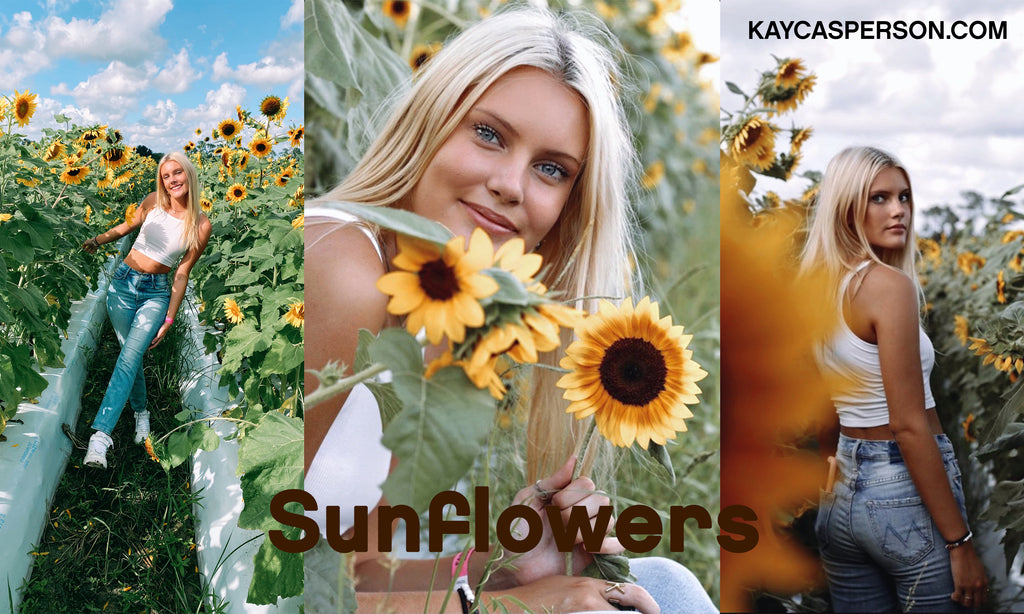 Sunflowers