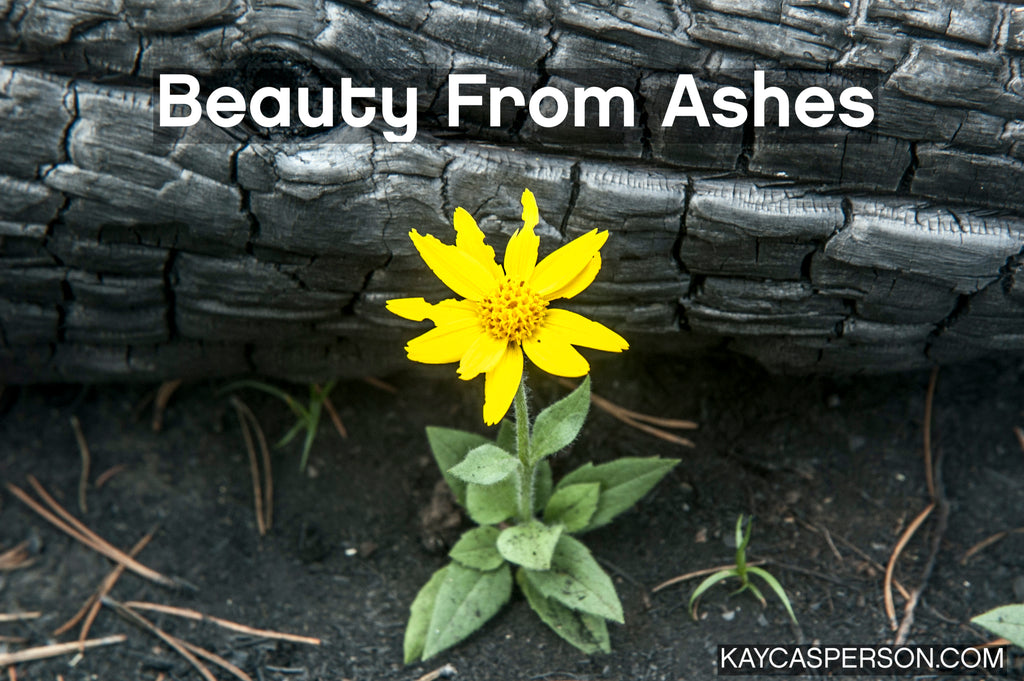 Beauty From Ashes