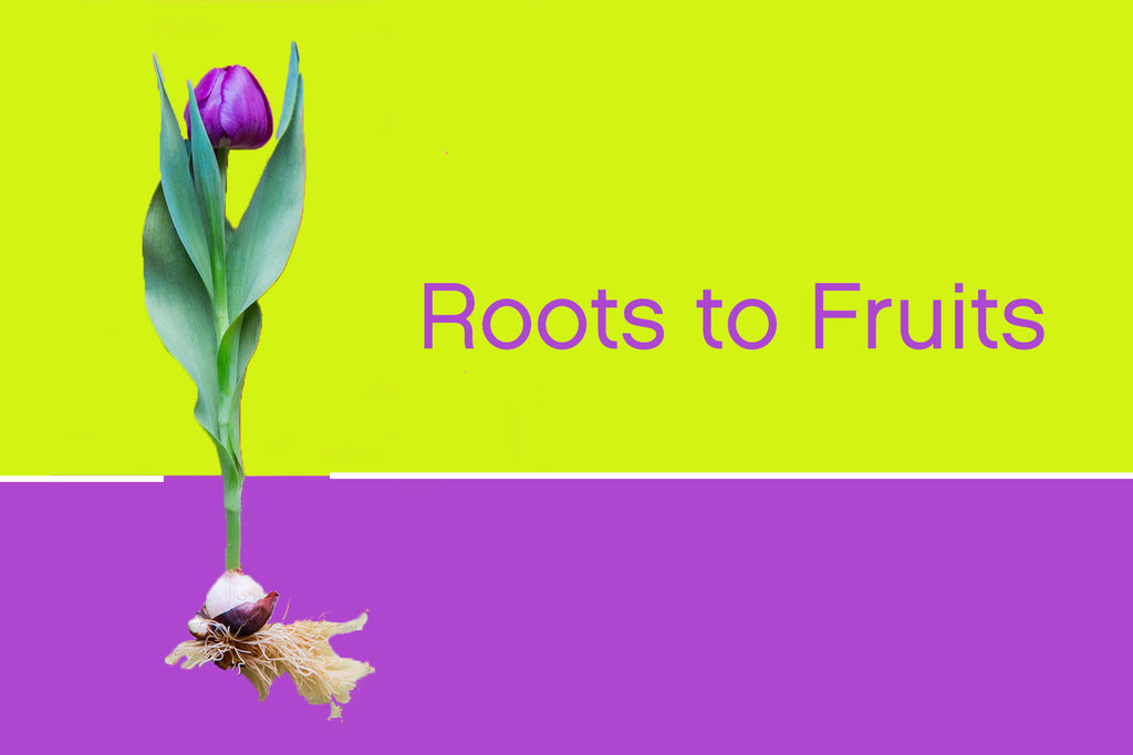 Roots to Fruits